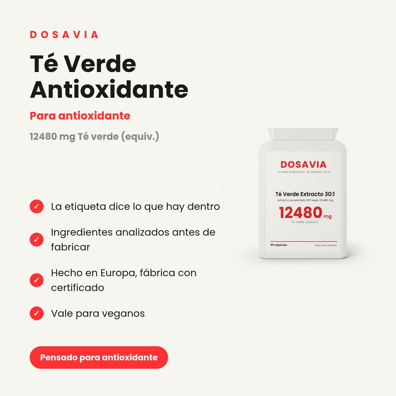 Té Verde Antioxidante | Extracto 30:1